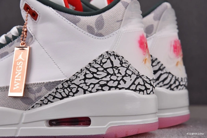 Jordan HM6993-100 Retro 3 Wings 0812